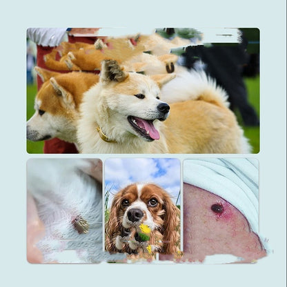 PawShield - 12 Months All Natural Flea and Tick Tags for Dogs