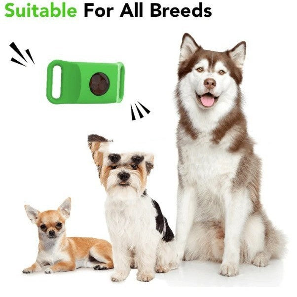 PawShield - 12 Months All Natural Flea and Tick Tags for Dogs