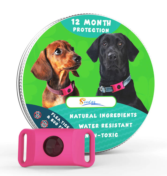 PawShield - 12 Months All Natural Flea and Tick Tags for Dogs