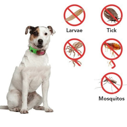 PawShield - 12 Months All Natural Flea and Tick Tags for Dogs